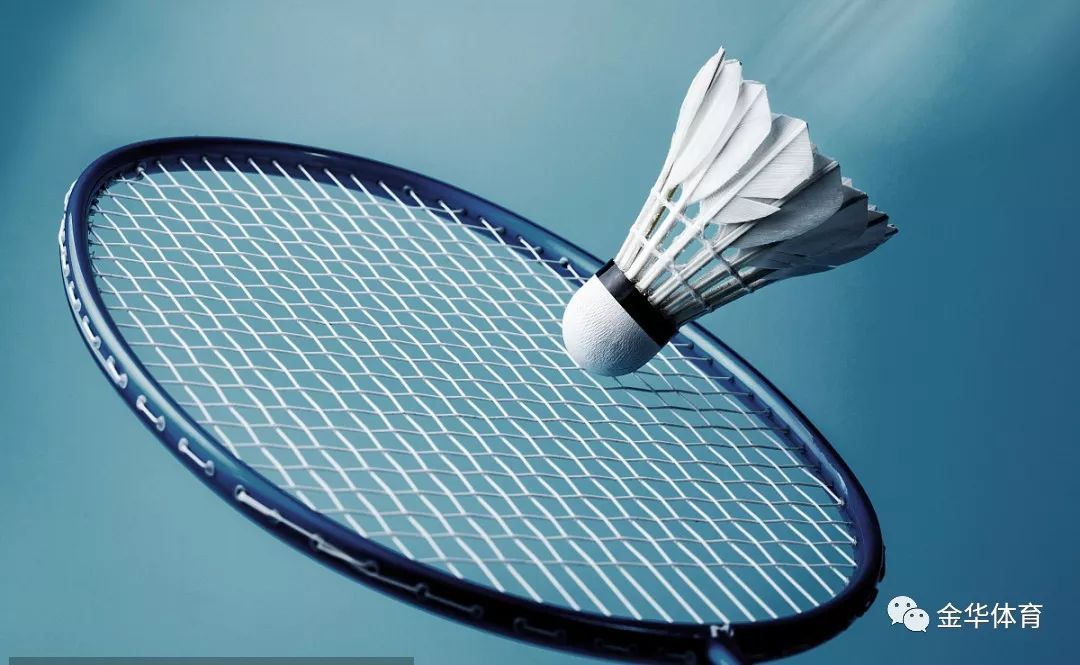 借助张琳芃 借助张琳芃